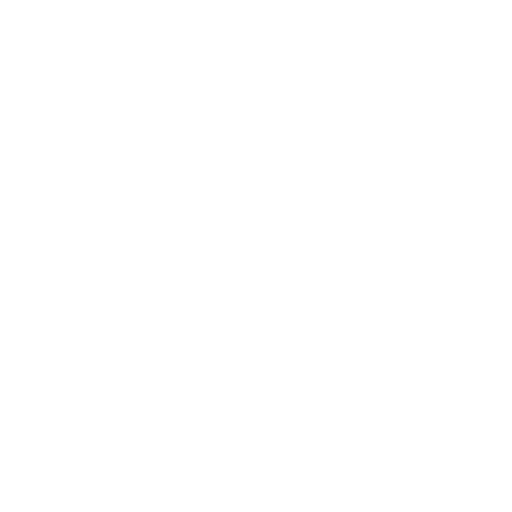 Service Auto